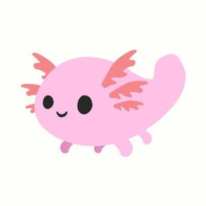 Meet your Posher, Sophia